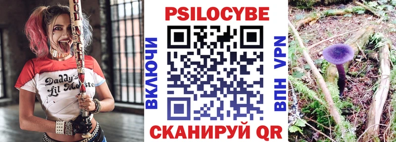 Галлюциногенные грибы Cubensis  кракен зеркало  Москва 